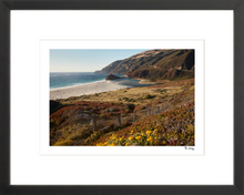 Load image into Gallery viewer, Big Sur Turnout