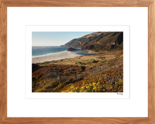 Load image into Gallery viewer, Big Sur Turnout