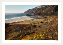 Load image into Gallery viewer, Big Sur Turnout