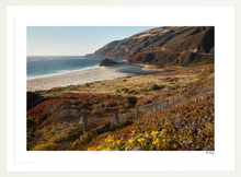 Load image into Gallery viewer, Big Sur Turnout