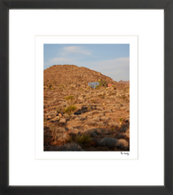 Load image into Gallery viewer, Monument Sunset