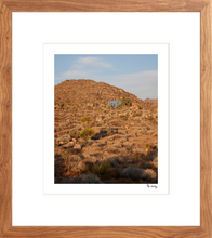 Load image into Gallery viewer, Monument Sunset