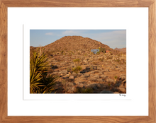 Load image into Gallery viewer, Joshua Tree
