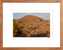 Load image into Gallery viewer, Joshua Tree