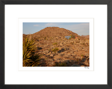 Load image into Gallery viewer, Joshua Tree