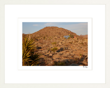 Load image into Gallery viewer, Joshua Tree