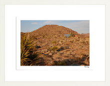 Load image into Gallery viewer, Joshua Tree