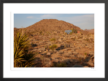 Load image into Gallery viewer, Joshua Tree