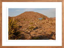 Load image into Gallery viewer, Joshua Tree