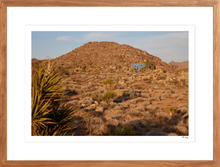 Load image into Gallery viewer, Joshua Tree