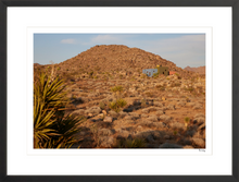 Load image into Gallery viewer, Joshua Tree