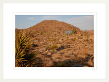 Load image into Gallery viewer, Joshua Tree