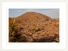 Load image into Gallery viewer, Joshua Tree