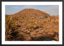 Load image into Gallery viewer, Joshua Tree
