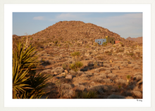 Load image into Gallery viewer, Joshua Tree