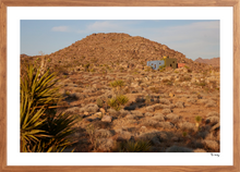 Load image into Gallery viewer, Joshua Tree