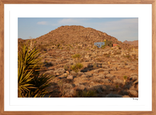 Load image into Gallery viewer, Joshua Tree