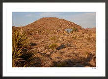 Load image into Gallery viewer, Joshua Tree