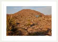 Load image into Gallery viewer, Joshua Tree