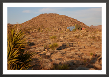 Load image into Gallery viewer, Joshua Tree