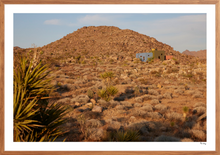 Load image into Gallery viewer, Joshua Tree