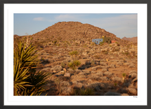 Load image into Gallery viewer, Joshua Tree