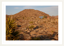 Load image into Gallery viewer, Joshua Tree