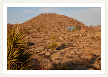 Load image into Gallery viewer, Joshua Tree