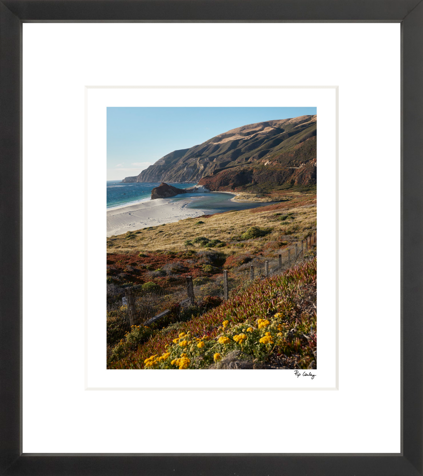 Big Sur Turnout II