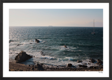 Load image into Gallery viewer, Seas the Day
