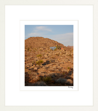 Load image into Gallery viewer, Monument Sunset
